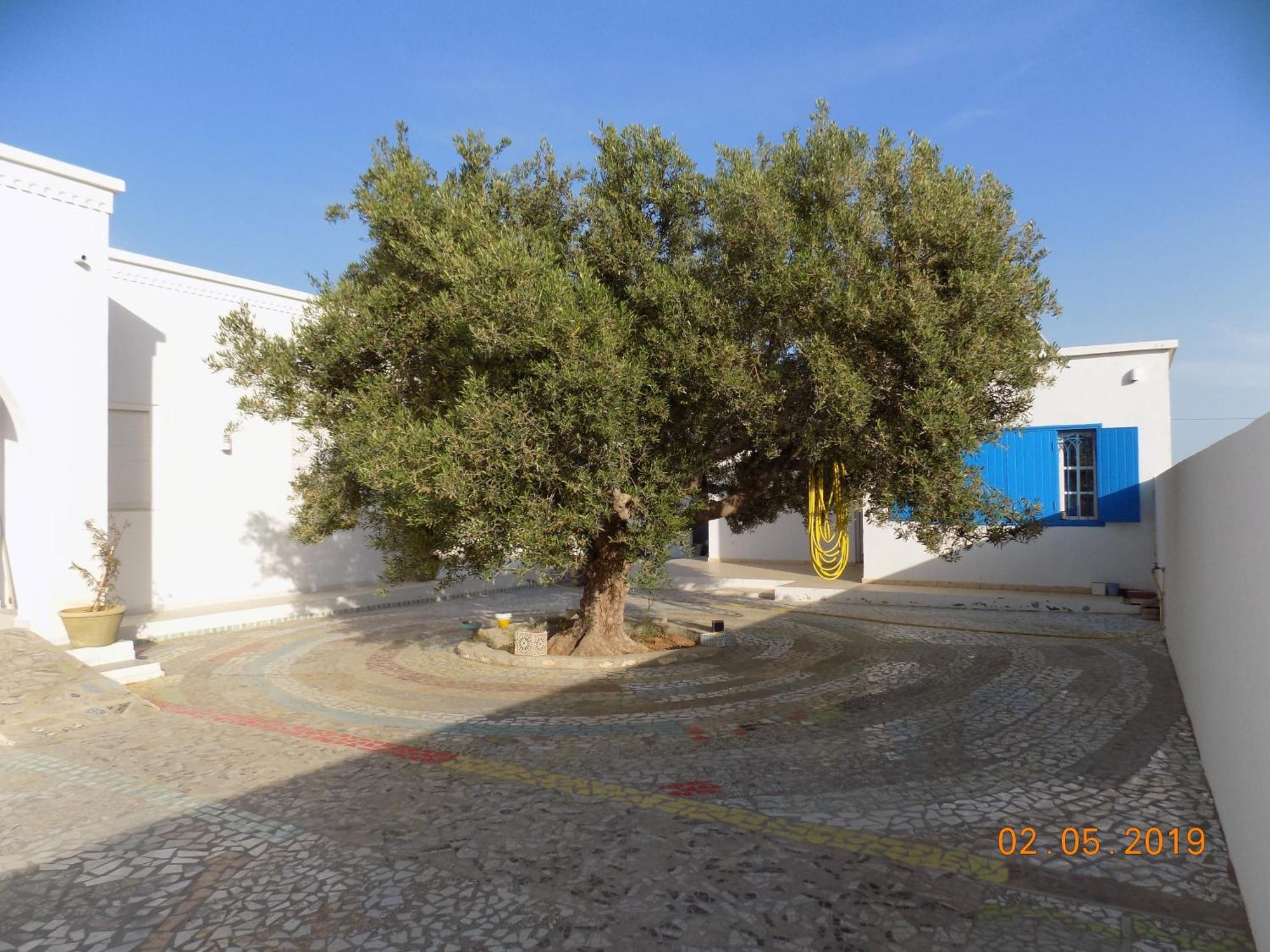 Dar Mamina Bed & Breakfast Sidi ash Shammakh Eksteriør bilde