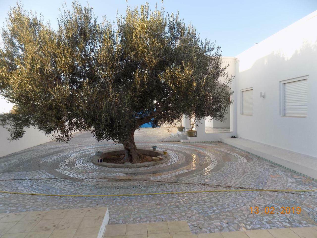 Dar Mamina Bed & Breakfast Sidi ash Shammakh Eksteriør bilde