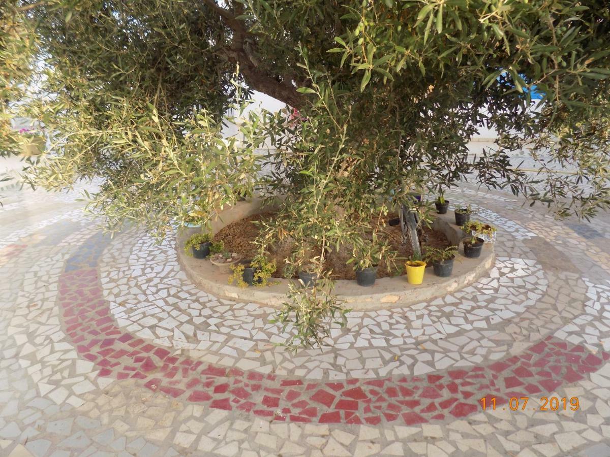 Dar Mamina Bed & Breakfast Sidi ash Shammakh Eksteriør bilde